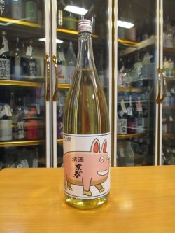 画像1: 京の春　熟成特別純米酒ぶた燗　27BY　1800ml　向井酒造株式会社