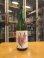 画像1: 白隠正宗　山廃純米ひやおろし　23BY　1800ml　高嶋酒造株式会社 (1)