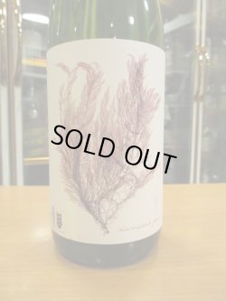 画像2: 白隠正宗　山廃純米ひやおろし　23BY　1800ml　高嶋酒造株式会社