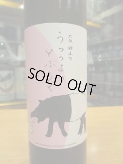 画像2: うつつよのどぶろく　どぶろく速醸火入れ（2024.3.24）　500ml　大阪どぶろく醸造所　