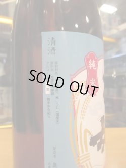画像4: 乙女　生酛純米無濾過生原酒　2023BY　1800ml　奥藤商事