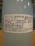 他の写真1: 志太泉　シダシードル　R6BY　720ml　志太泉酒造