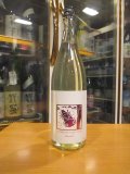 いづみ橋 夏ヤゴピンク生酛純米原酒　2024BY　1800ml　泉橋酒造
