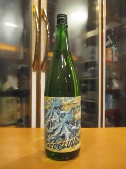 画像1: 北島　純米吟醸酒タコイズブルー火入れ　2024BY　1800ml 北島酒造株式会社