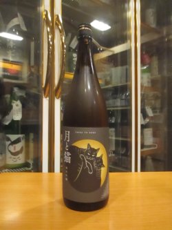 画像1: 志太泉　純米吟醸酒月と猫　R6BY　1800ml　志太泉酒造