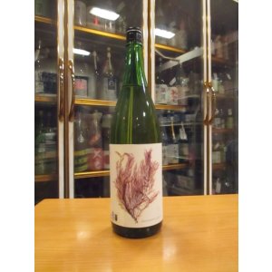 画像: 白隠正宗　山廃純米ひやおろし　23BY　1800ml　高嶋酒造株式会社