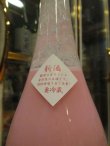 画像3: 誉池月　Pink活性桃色にごり酒　2024BY　1800ml　池月酒造株式会社