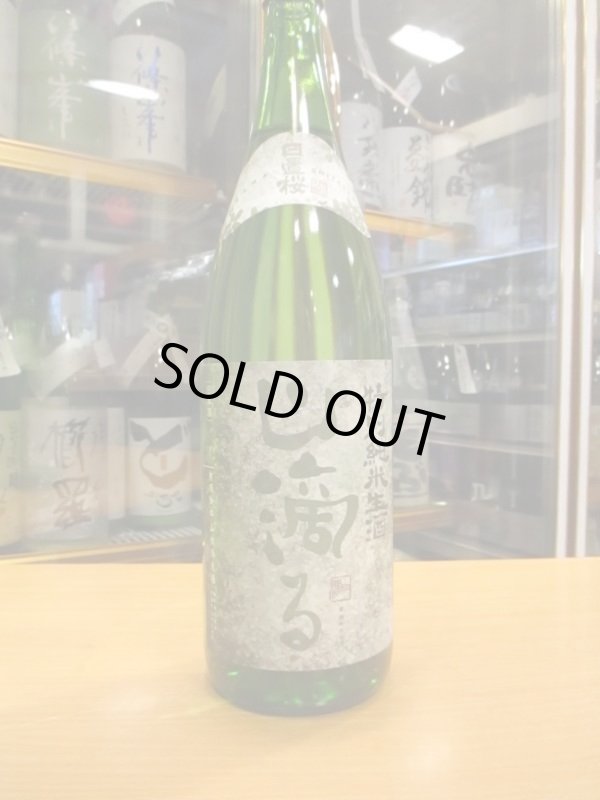 画像2: 日置桜　特別純米生酒山滴る　R5BY 1800ml 山根酒造場