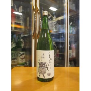 画像: 初桜　純米生酒しぼりたて　R6BY 1800ml 安井酒造場 