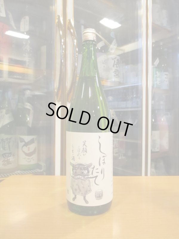 画像1: 初桜　純米生酒しぼりたて　R6BY 1800ml 安井酒造場 