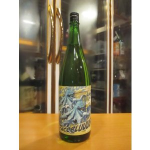 画像: 北島　純米吟醸酒タコイズブルー火入れ　2024BY　1800ml 北島酒造株式会社