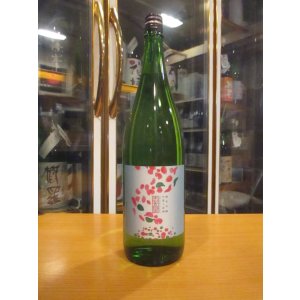 画像: 志太泉　花純米吟醸中取り原酒　R6BY　1800ml　志太泉酒造
