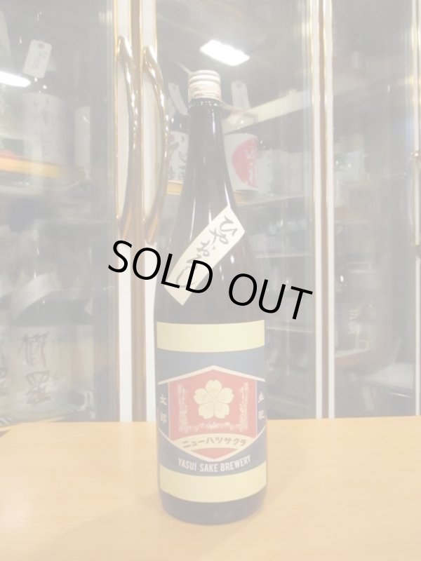 画像1: ニューハツサクラ　生酛太郎玉栄純米火入　2024BY 1800ml 安井酒造場 